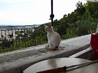 foto 032
